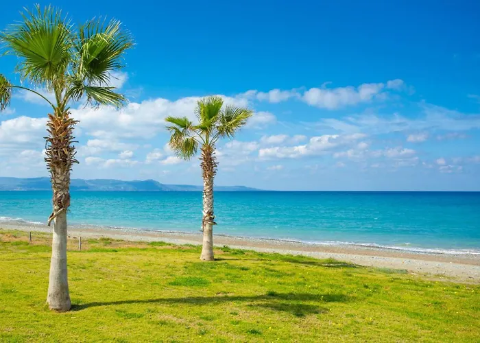 Halima Stefanos Willa