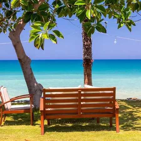 Halima Stefanos Polis