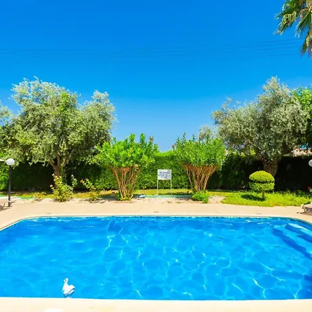 Halima Stefanos * Polis